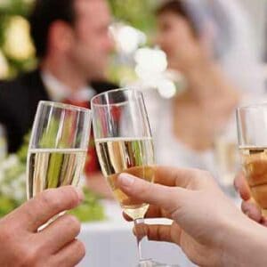 wedding toast, oregon wedding dj, wedding dj services